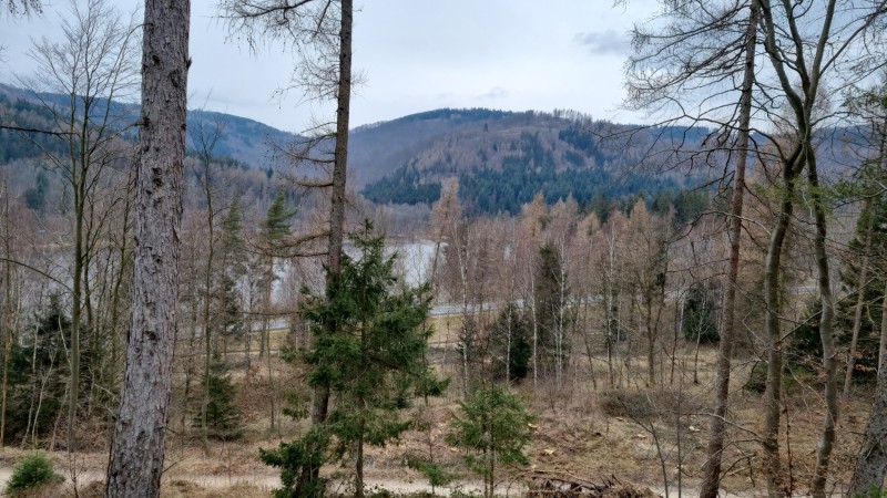 IMG-20220314-WA0006