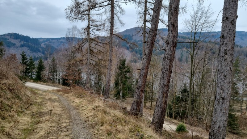 IMG-20220314-WA0007