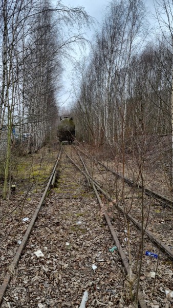 IMG-20220314-WA0050