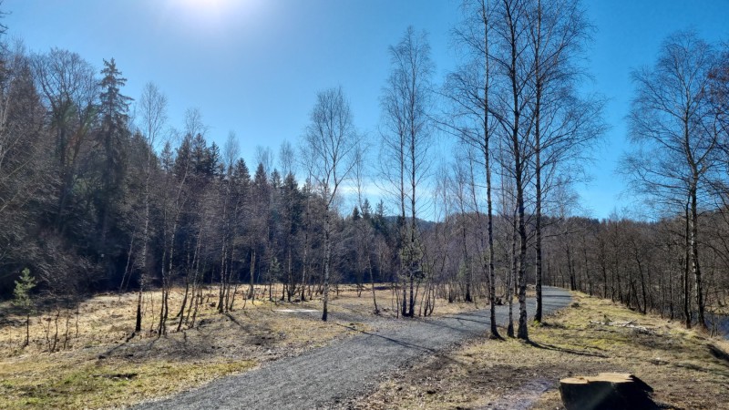 IMG-20220318-WA0027