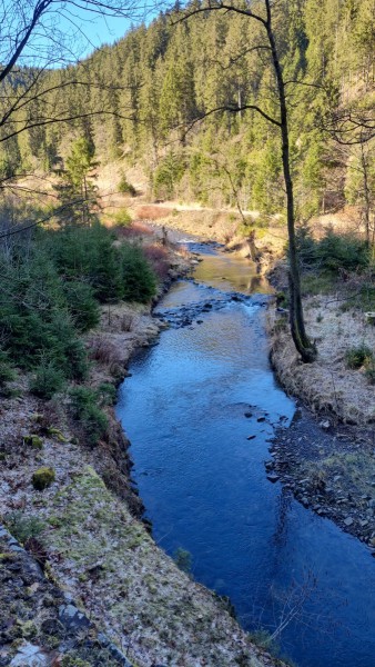 IMG-20220318-WA0047
