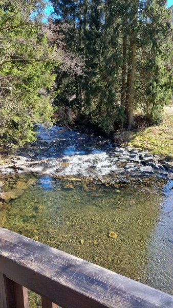 IMG-20220318-WA0061