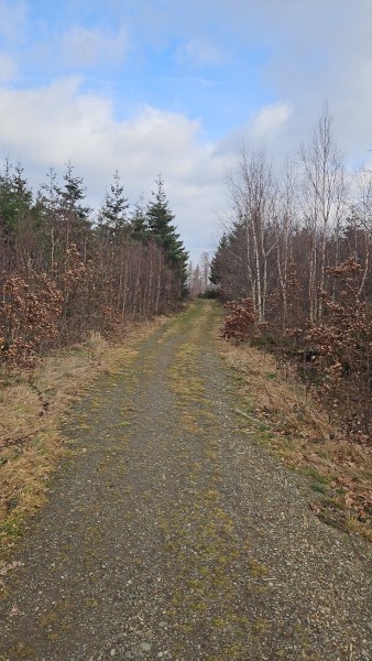 Unterwegs-10