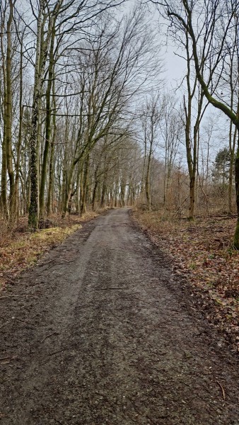 Unterwegs-23