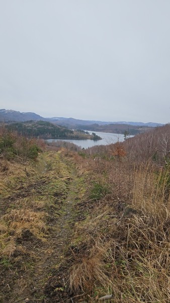 Unterwegs-35