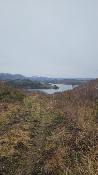 Unterwegs-37