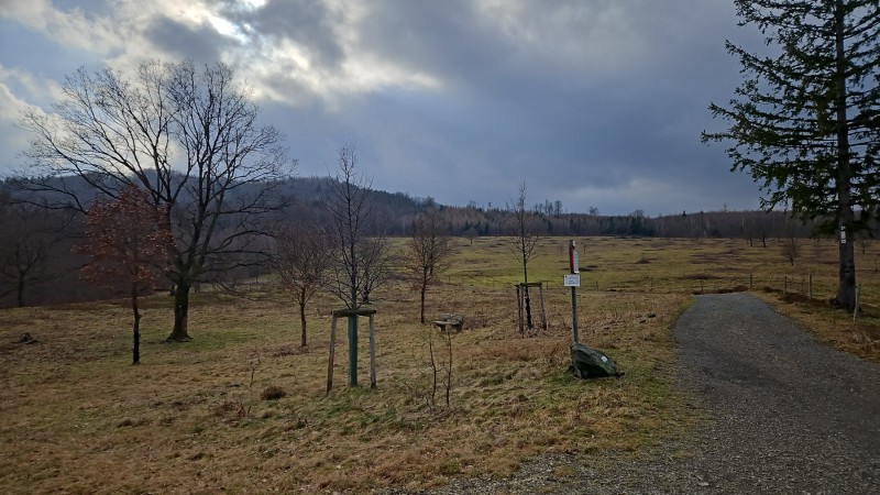 Unterwegs-9