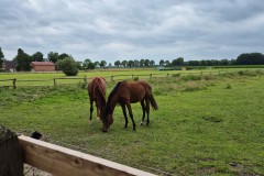 IMG-20250624-WA0009