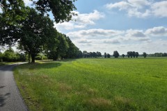 IMG-20250628-WA0012