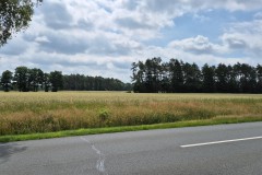 IMG-20250628-WA0056