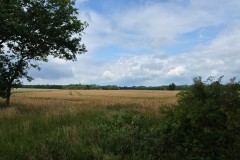 IMG-20250629-WA0012