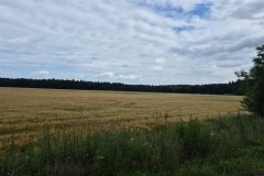 IMG-20250629-WA0022