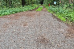 IMG-20250629-WA0026