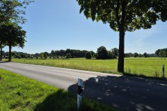 IMG-20250630-WA0017