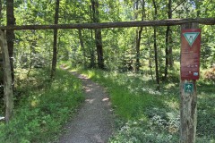 IMG-20250630-WA0049