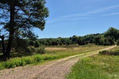 IMG-20250630-WA0071