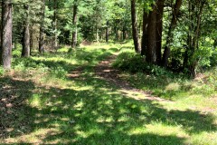 IMG-20250630-WA0072
