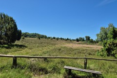 IMG-20250630-WA0086