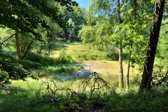 IMG-20250630-WA0099