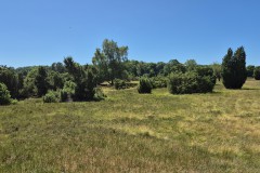 IMG-20250630-WA0108