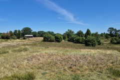 IMG-20250630-WA0109