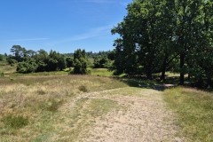 IMG-20250630-WA0110