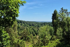 IMG-20250630-WA0117