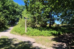 IMG-20250630-WA0119