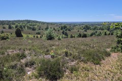 IMG-20250630-WA0131
