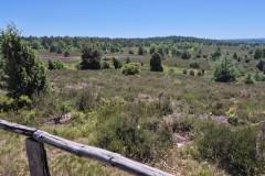 IMG-20250630-WA0132