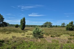 IMG-20250630-WA0147