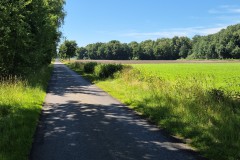 IMG-20250630-WA0158