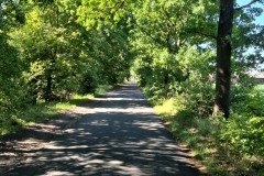 IMG-20250701-WA0000