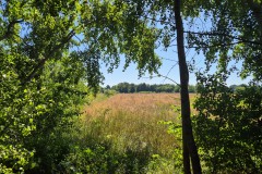 IMG-20250701-WA0001