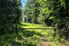 IMG-20250701-WA0005