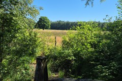 IMG-20250701-WA0009