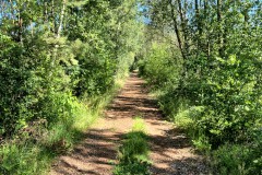 IMG-20250701-WA0010