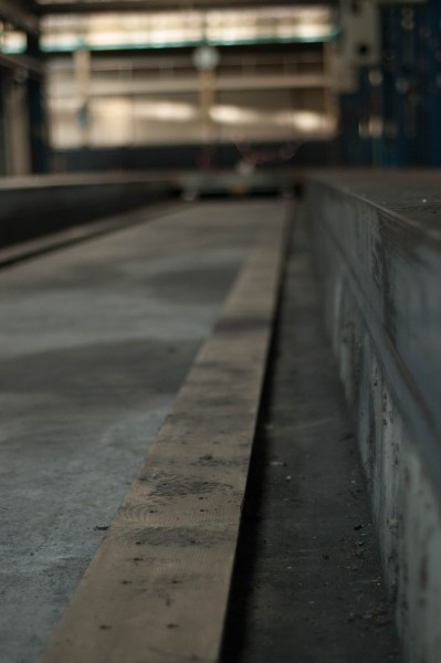 DSC_0239