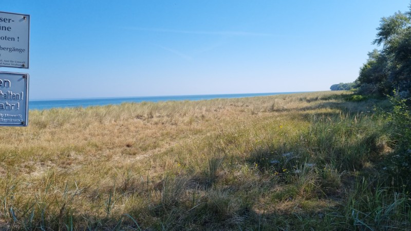 IMG-20210909-WA0004