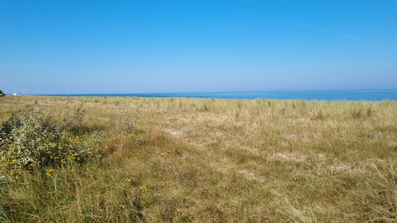 IMG-20210909-WA0007