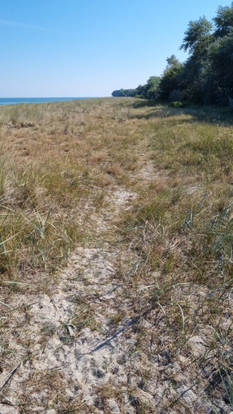 IMG-20210909-WA0011