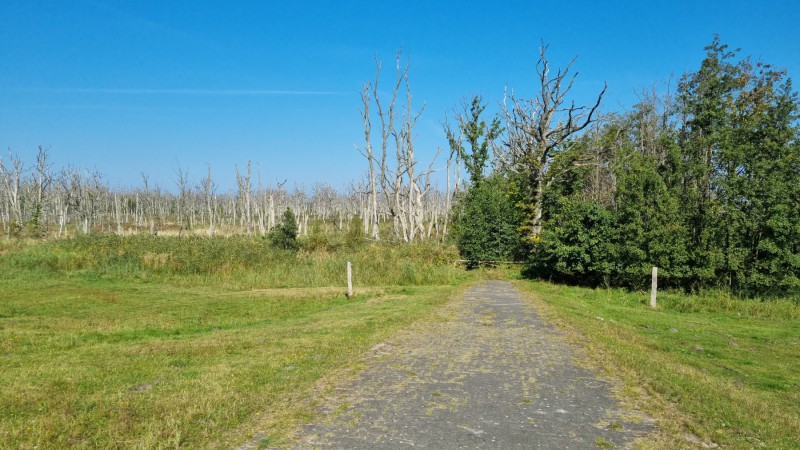 IMG-20210909-WA0028