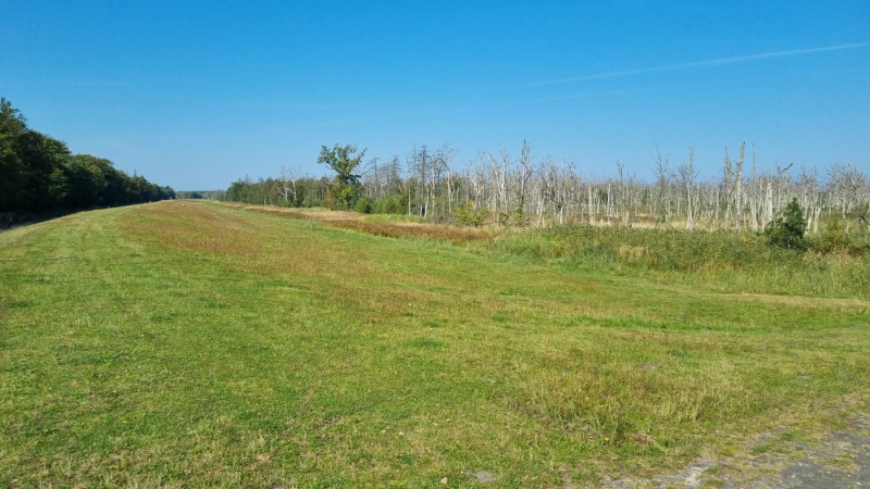 IMG-20210909-WA0030