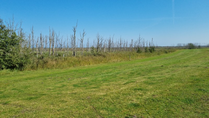 IMG-20210909-WA0031