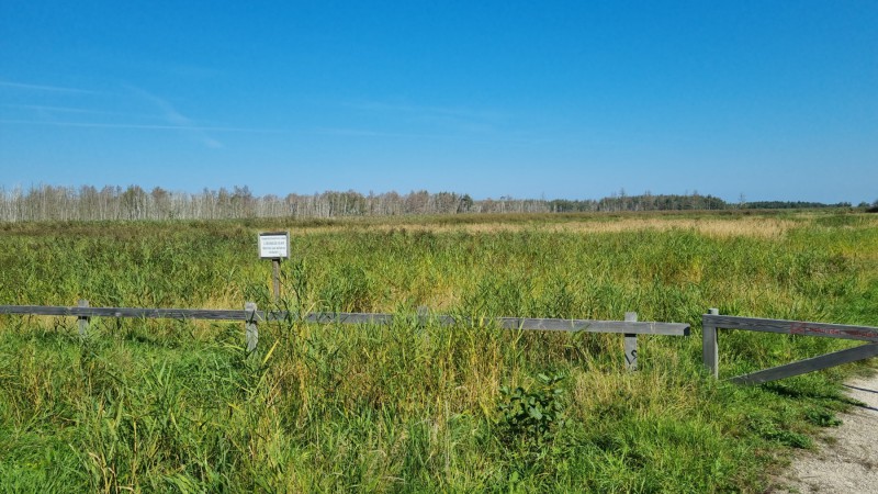 IMG-20210909-WA0037