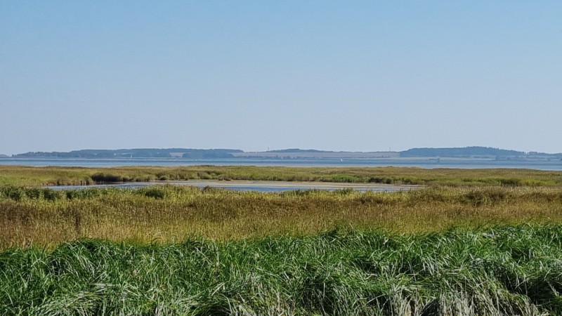 IMG-20210909-WA0044
