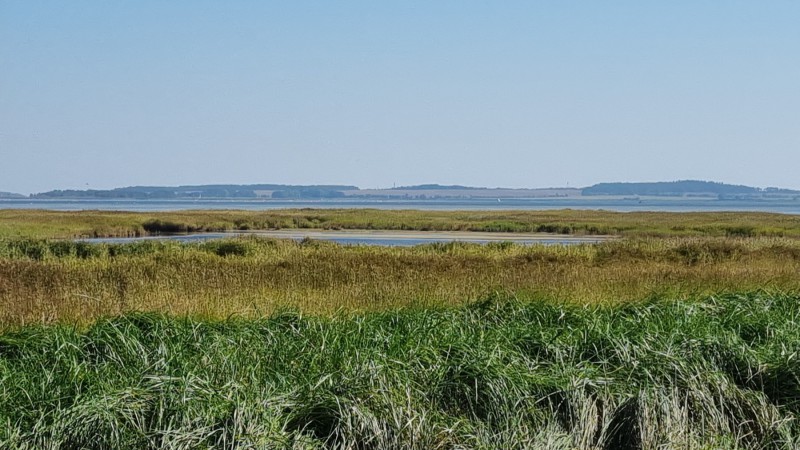 IMG-20210909-WA0045