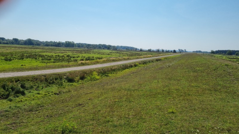 IMG-20210909-WA0052