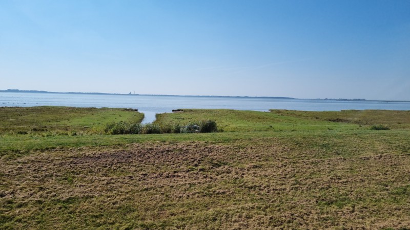 IMG-20210909-WA0066