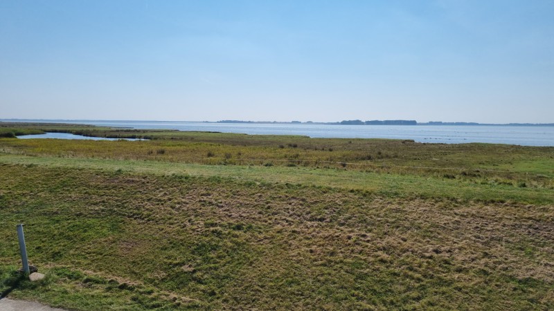 IMG-20210909-WA0067